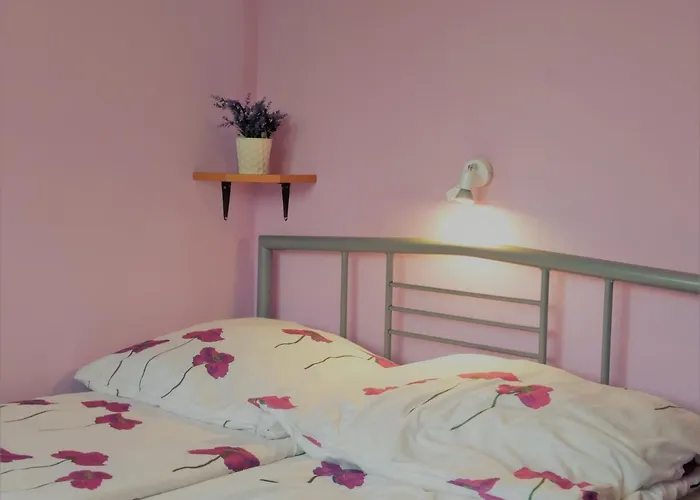 Na Skwerku ゲストハウス Stronie Śląskie